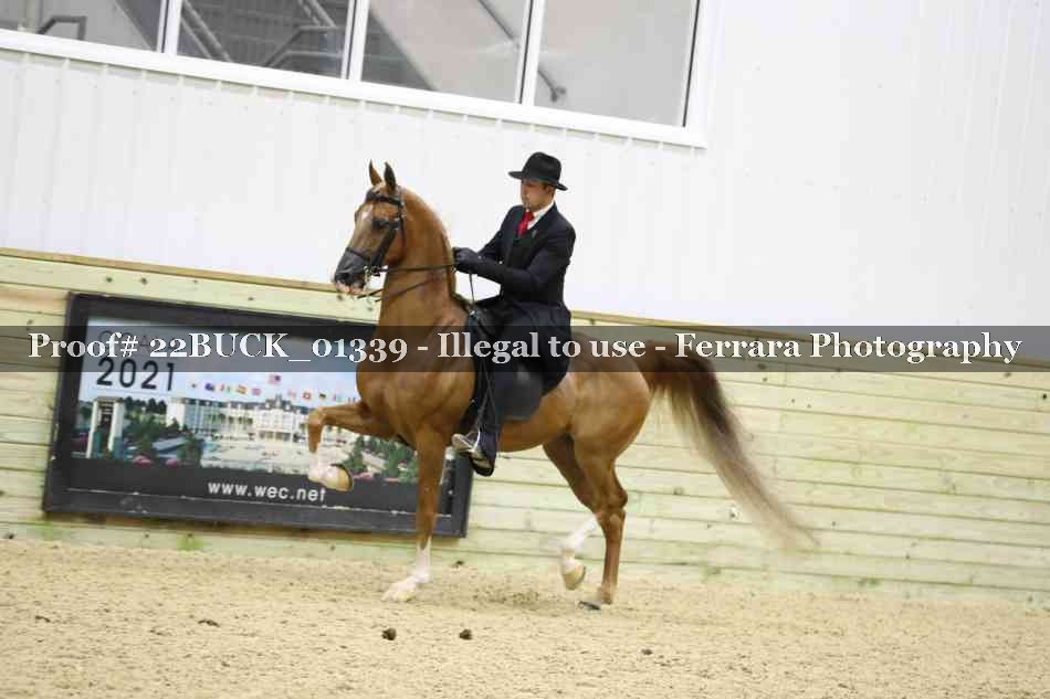 Proof 22BUCK_01339