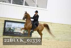 22BUCK_01339 proof