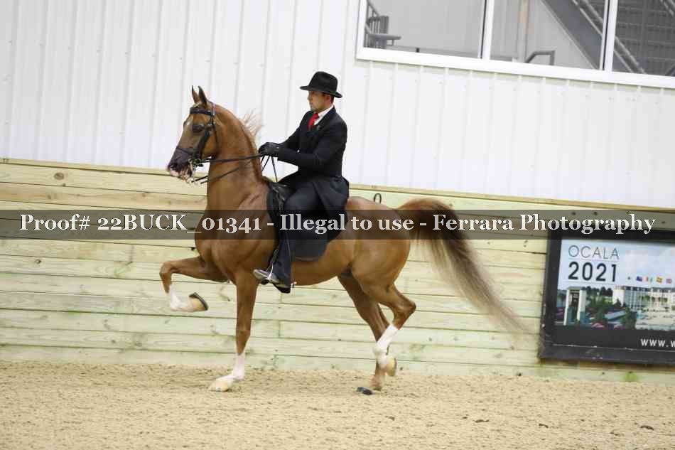 Proof 22BUCK_01341