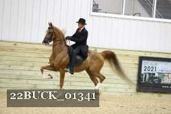 22BUCK_01341 proof