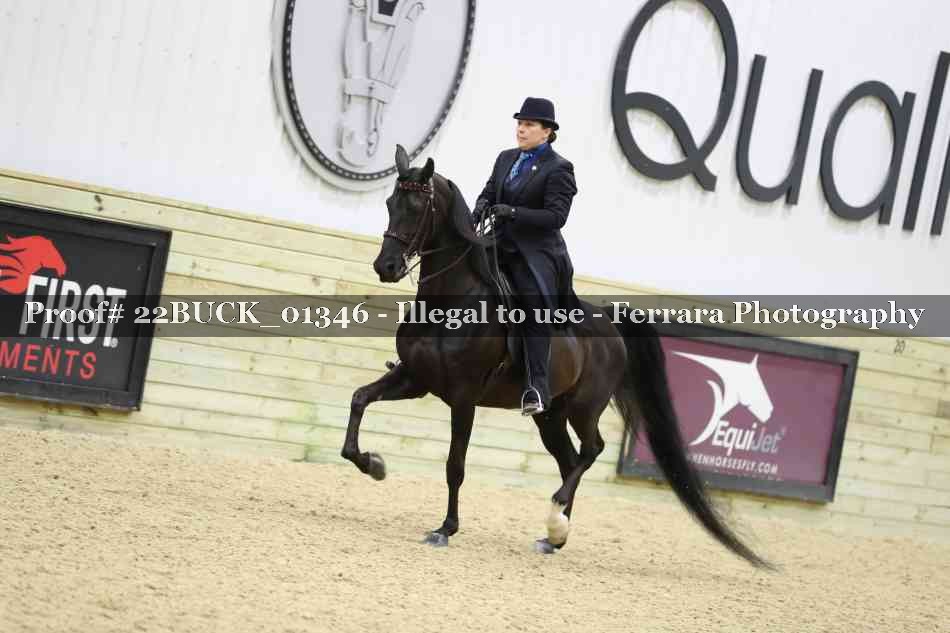 Proof 22BUCK_01346