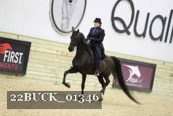 22BUCK_01346 proof