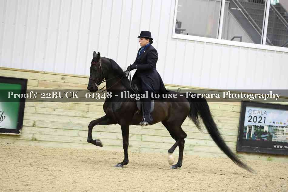 Proof 22BUCK_01348