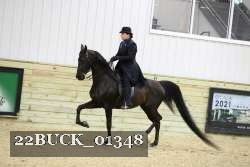 22BUCK_01348 proof