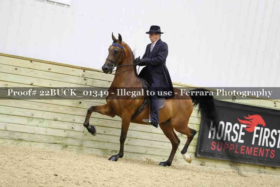 Proof 22BUCK_01349