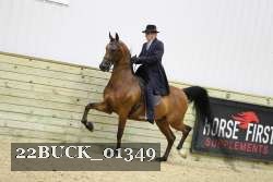 22BUCK_01349 proof
