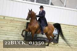 22BUCK_01350 proof