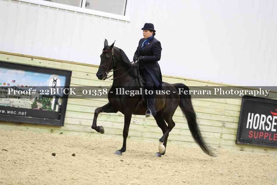 Proof 22BUCK_01358