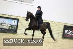22BUCK_01358 proof