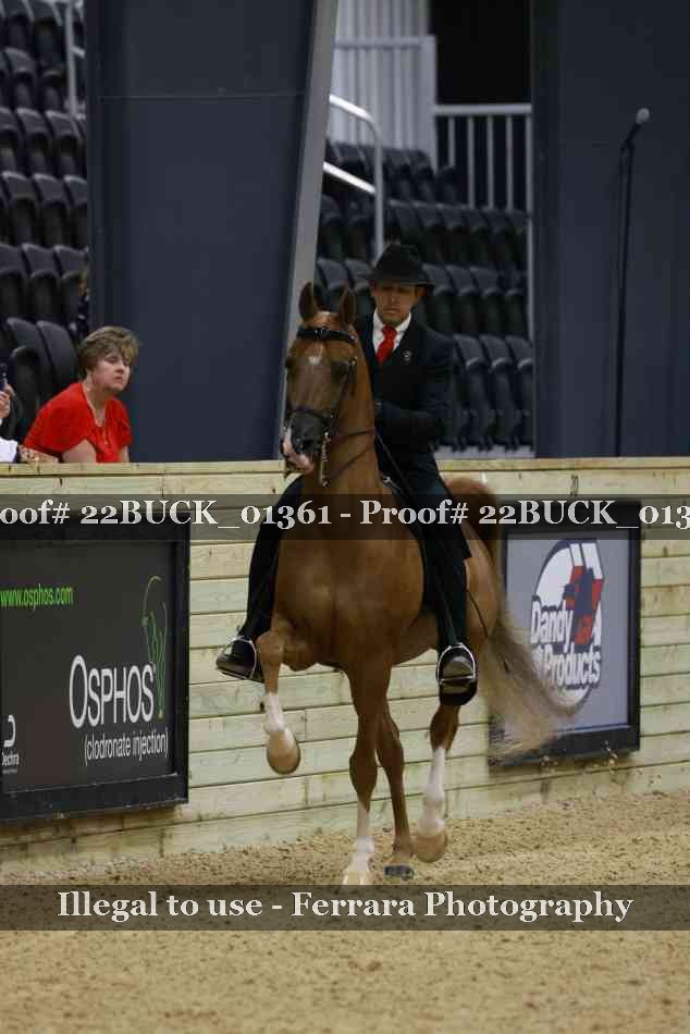 Proof 22BUCK_01361
