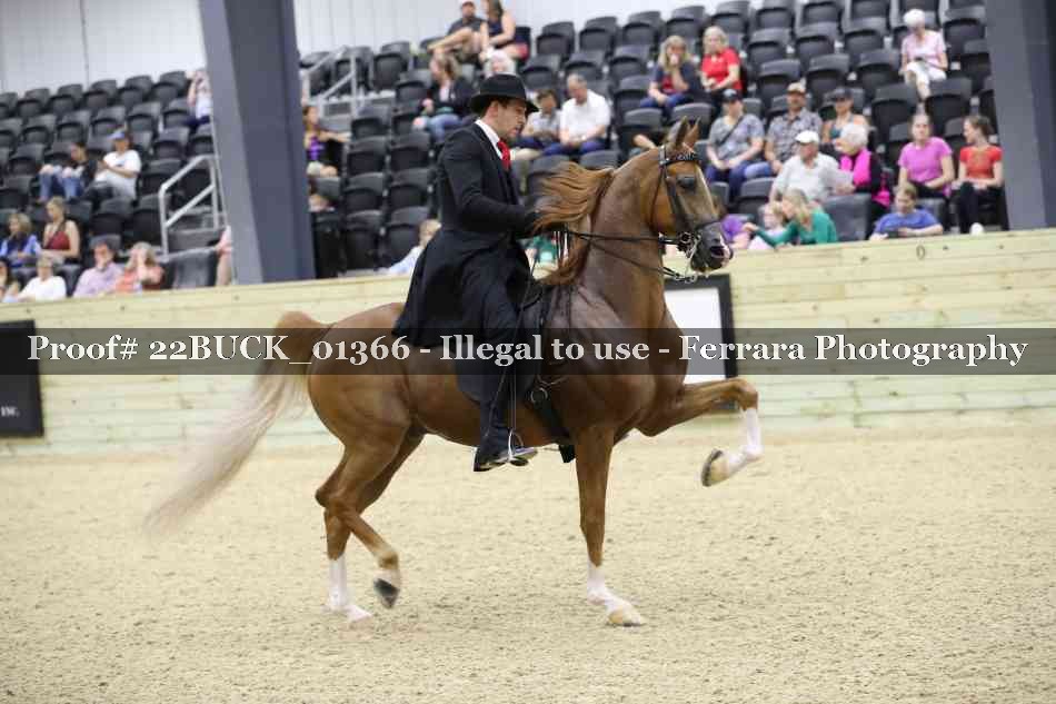 Proof 22BUCK_01366