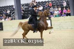 22BUCK_01366 proof