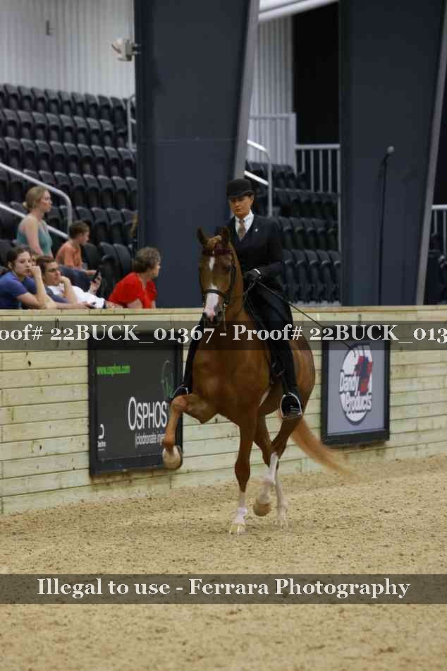 Proof 22BUCK_01367