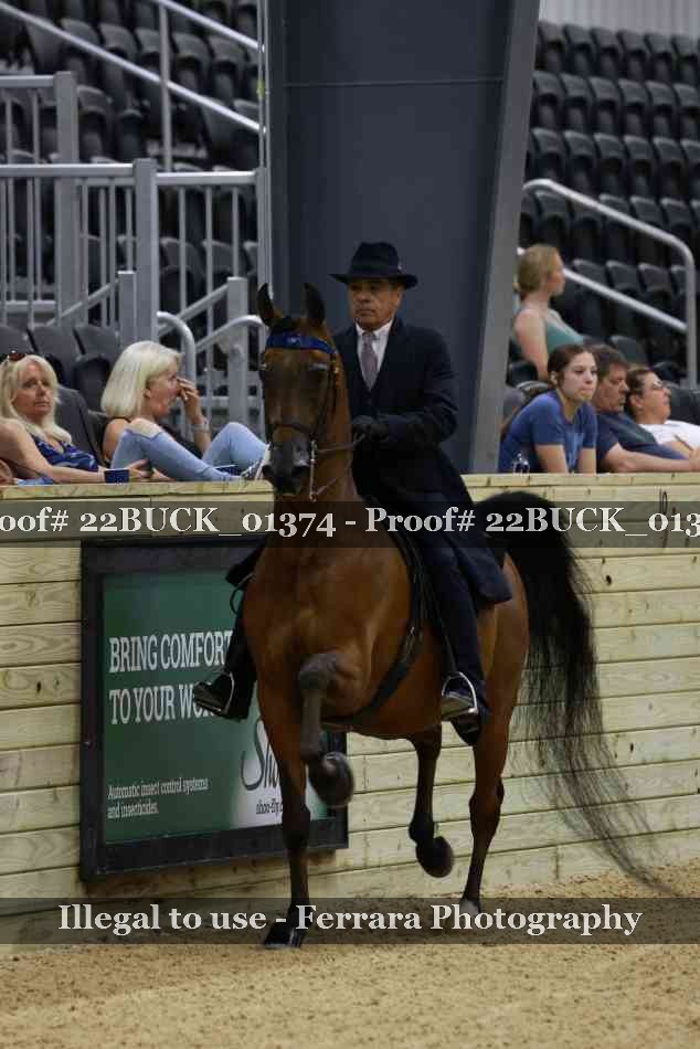 Proof 22BUCK_01374