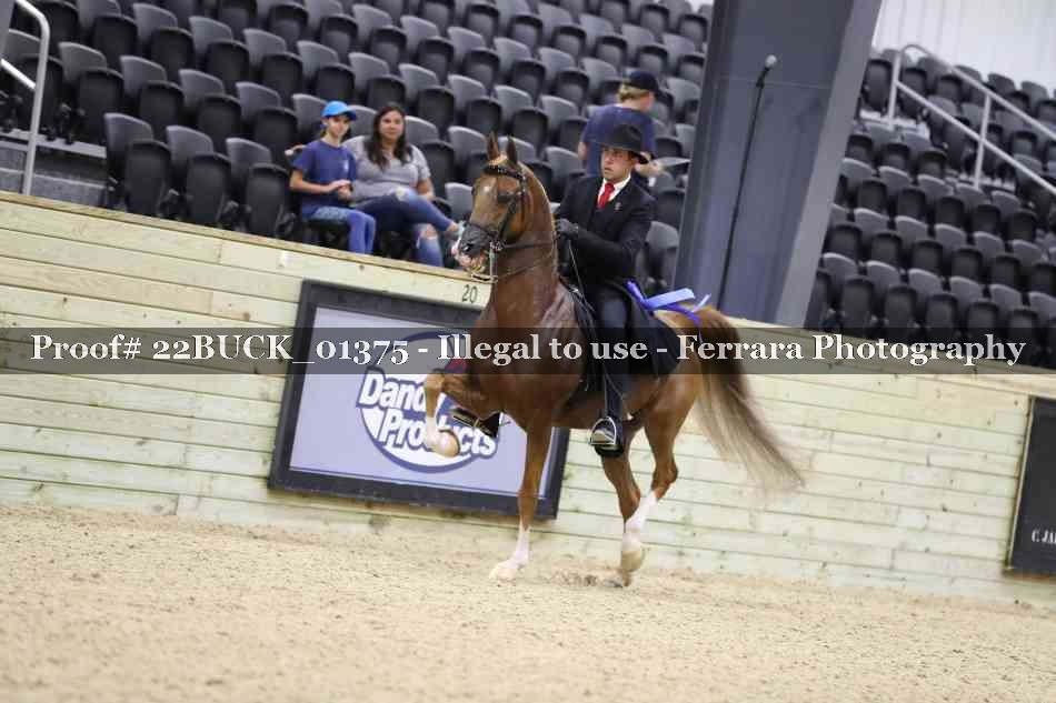 Proof 22BUCK_01375