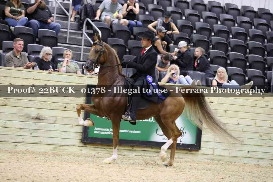 Proof 22BUCK_01378
