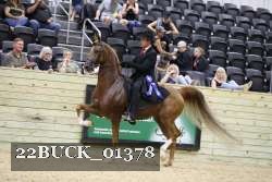 22BUCK_01378 proof