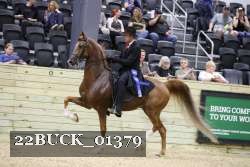 22BUCK_01379 proof