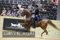 22BUCK_01381 proof