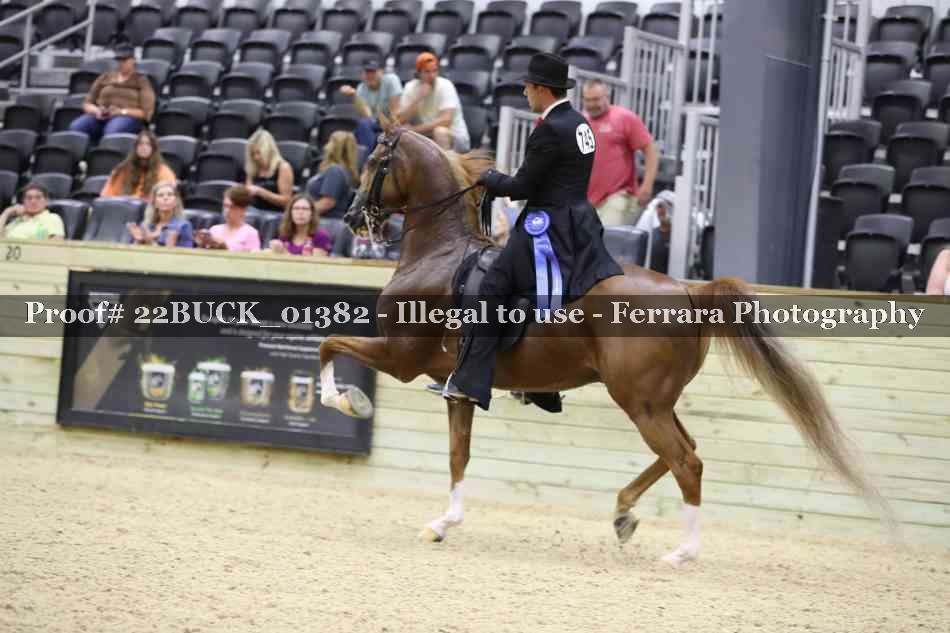 Proof 22BUCK_01382