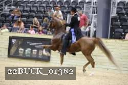 22BUCK_01382 proof