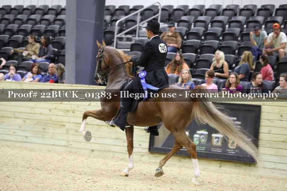 Proof 22BUCK_01383