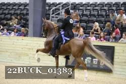 22BUCK_01383 proof
