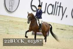 22BUCK_01387 proof