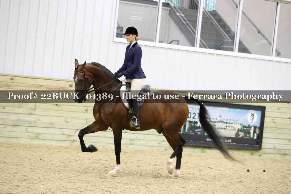Proof 22BUCK_01389