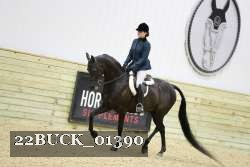 22BUCK_01390 proof