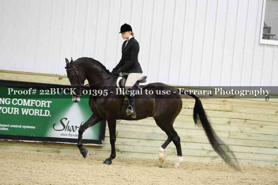 Proof 22BUCK_01395