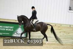 22BUCK_01395 proof