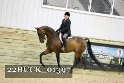 22BUCK_01397 proof