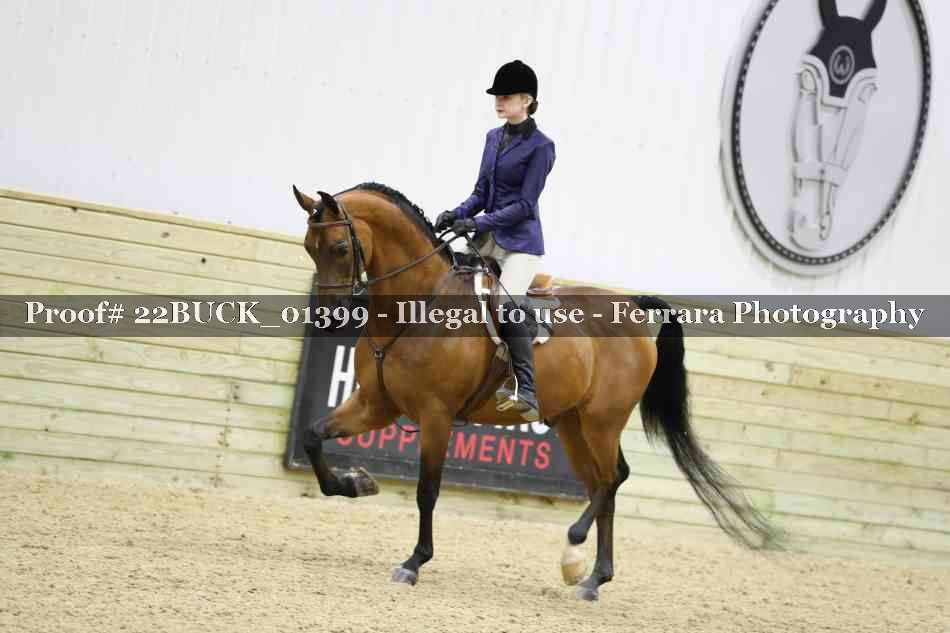 Proof 22BUCK_01399