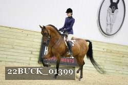 22BUCK_01399 proof