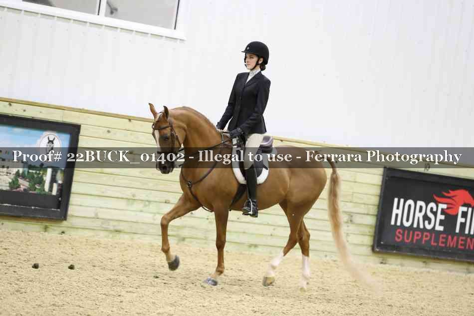 Proof 22BUCK_01402