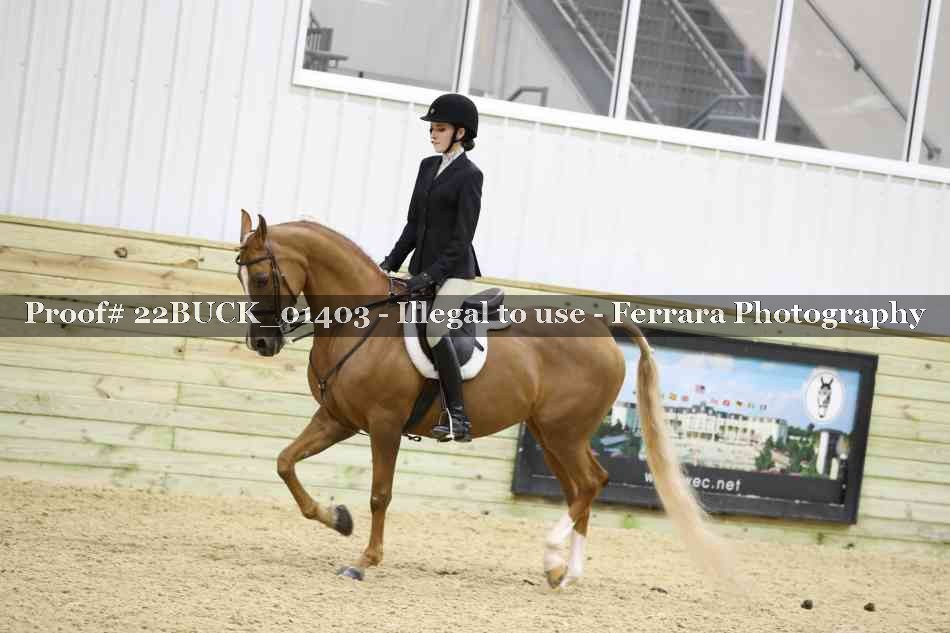 Proof 22BUCK_01403
