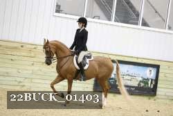 22BUCK_01403 proof