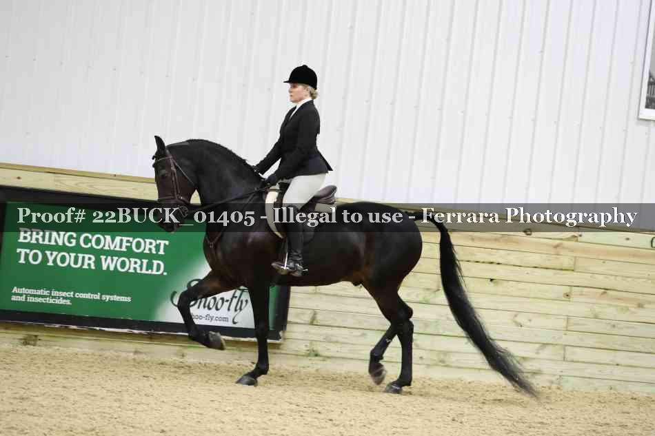 Proof 22BUCK_01405