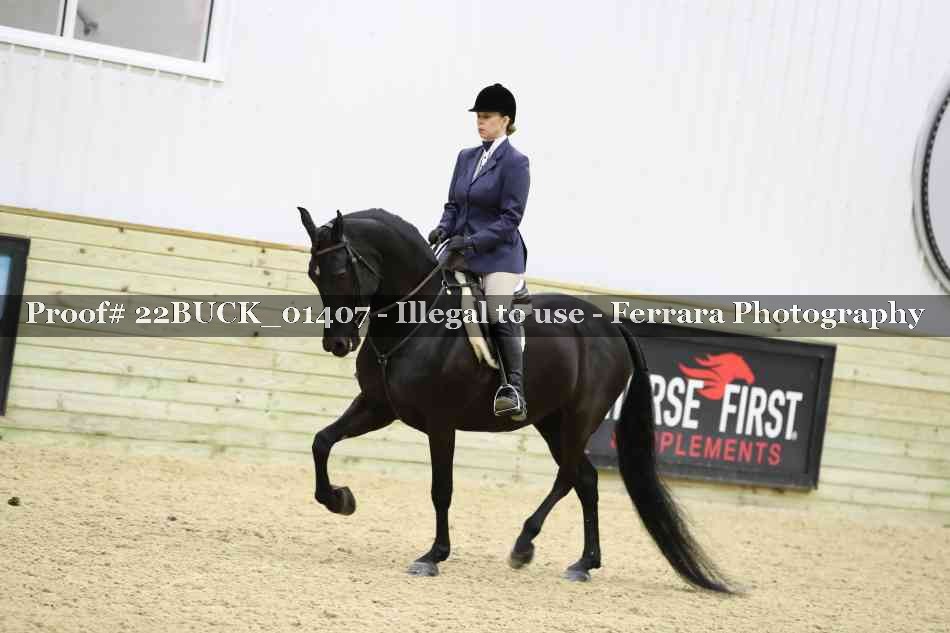 Proof 22BUCK_01407