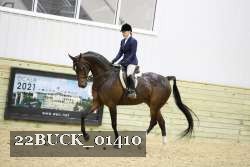22BUCK_01410 proof