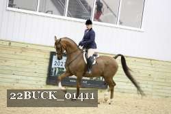 22BUCK_01411 proof
