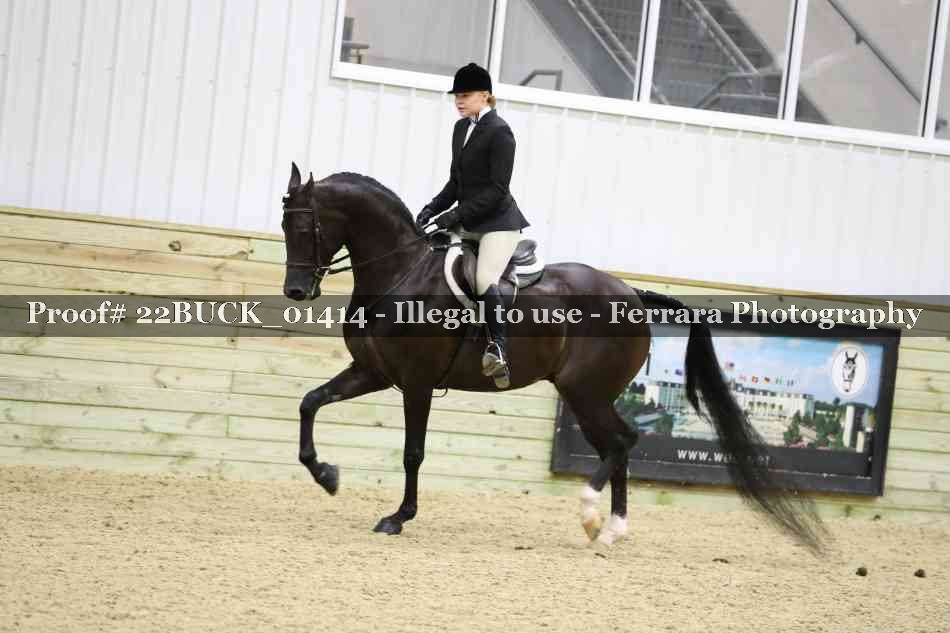 Proof 22BUCK_01414