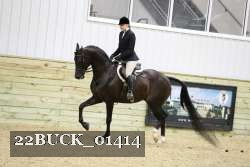 22BUCK_01414 proof