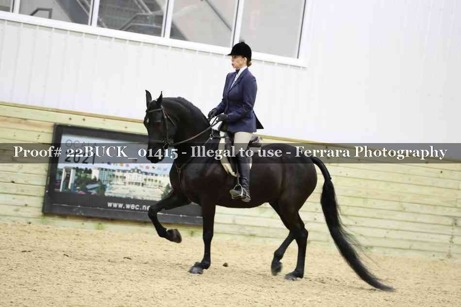 Proof 22BUCK_01415