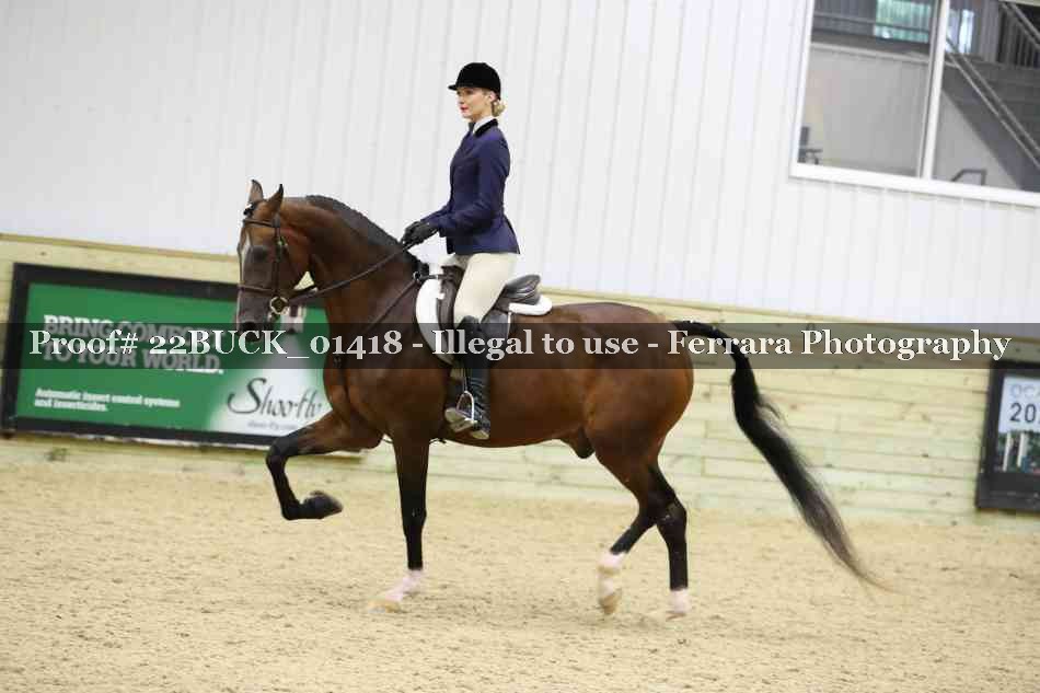 Proof 22BUCK_01418