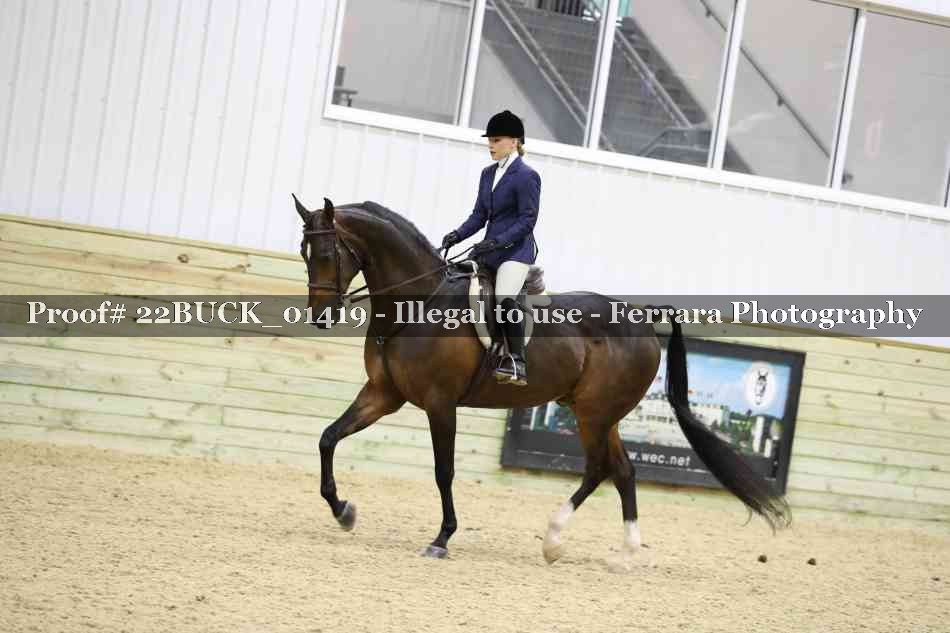 Proof 22BUCK_01419