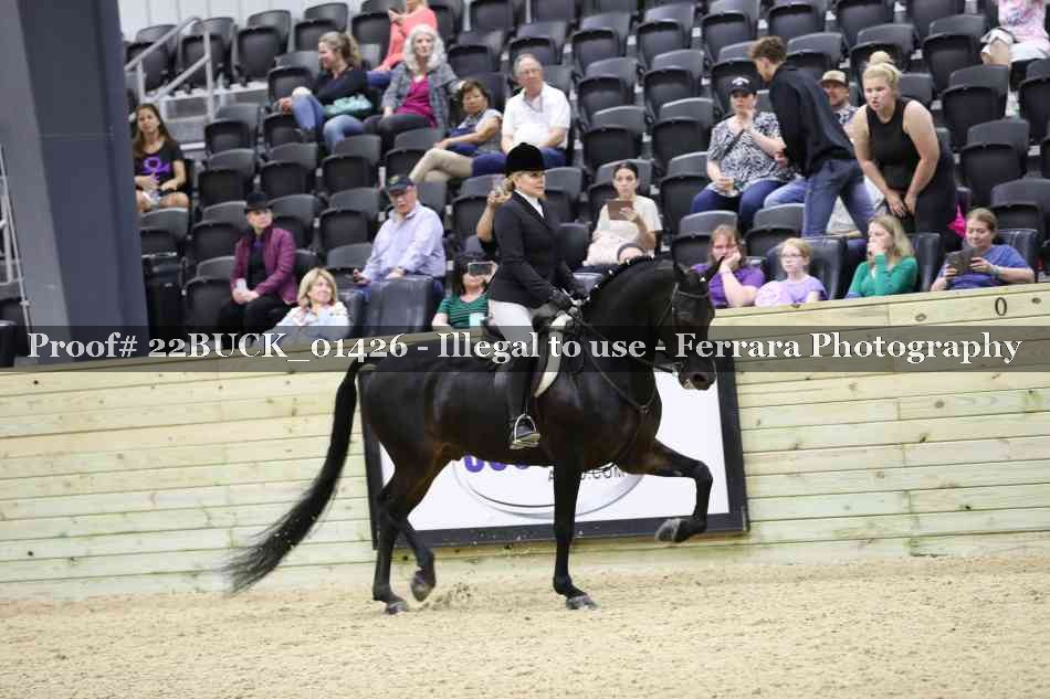 Proof 22BUCK_01426