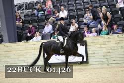 22BUCK_01426 proof