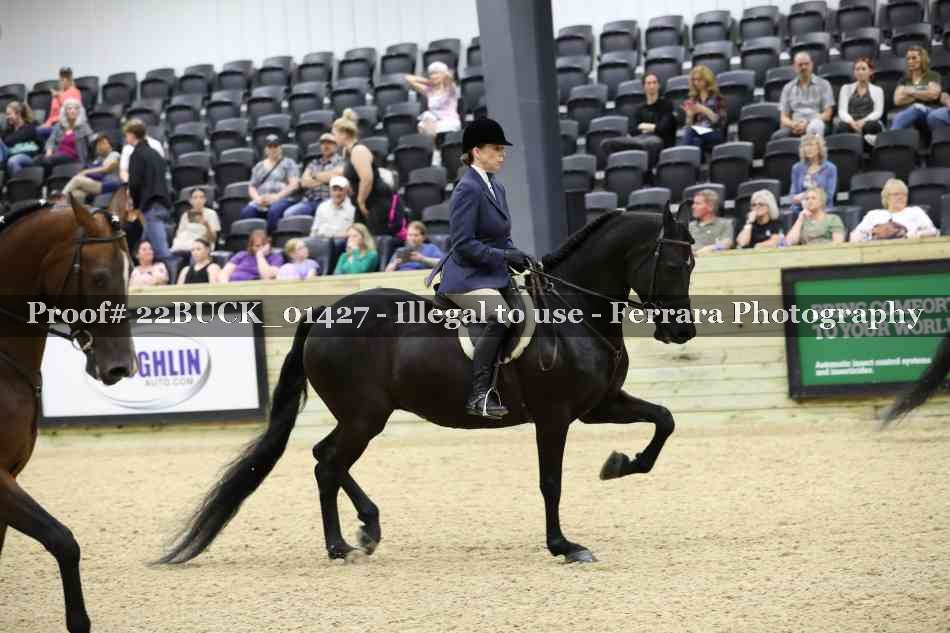 Proof 22BUCK_01427
